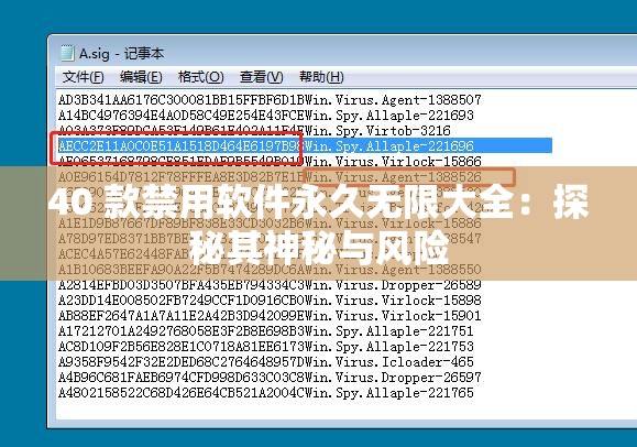 40 款禁用軟件永久無限大全：探秘其神秘與風(fēng)險