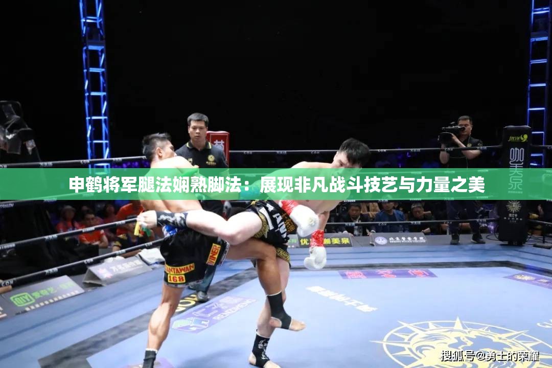 申鶴將軍腿法嫻熟腳法：展現(xiàn)非凡戰(zhàn)斗技藝與力量之美