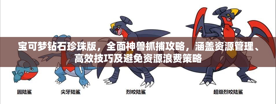 寶可夢鉆石珍珠版，全面神獸抓捕攻略，涵蓋資源管理、高效技巧及避免資源浪費(fèi)策略