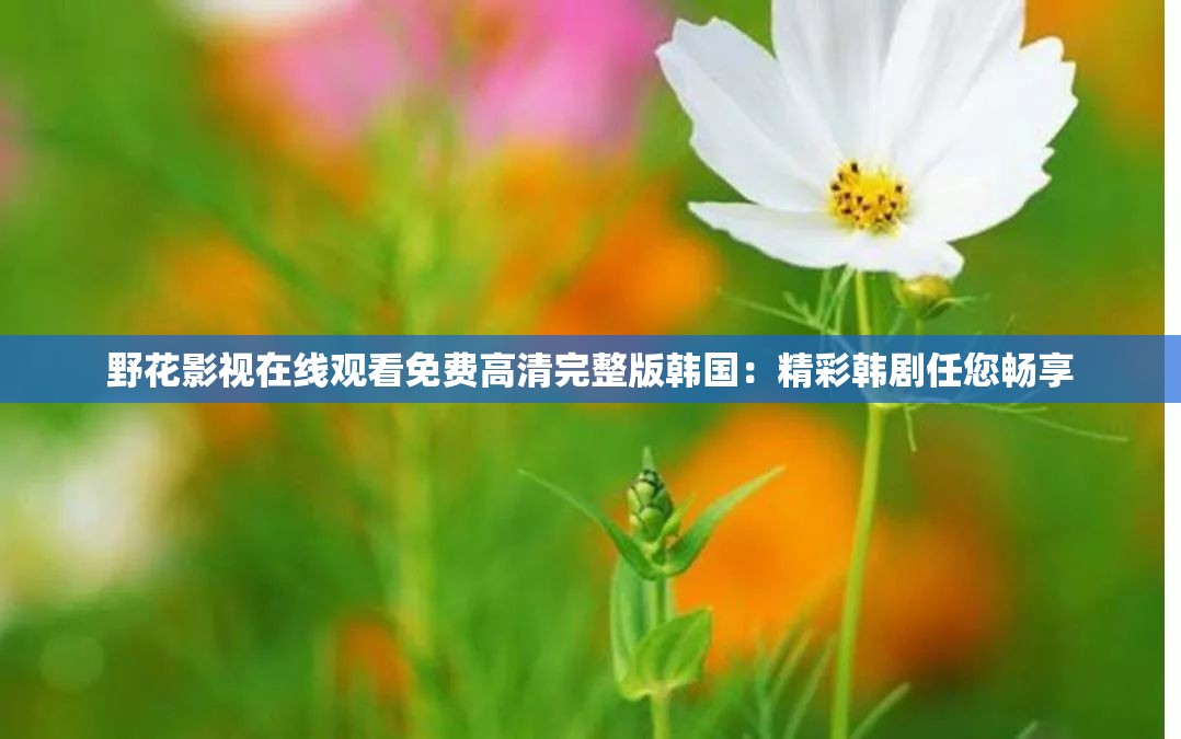 野花影視在線觀看免費高清完整版韓國：精彩韓劇任您暢享