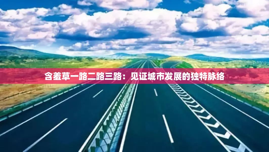 含羞草一路二路三路：見證城市發(fā)展的獨(dú)特脈絡(luò)