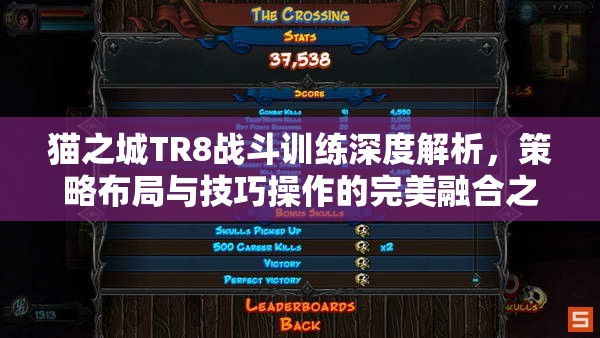 貓之城TR8戰(zhàn)斗訓(xùn)練深度解析，策略布局與技巧操作的完美融合之道