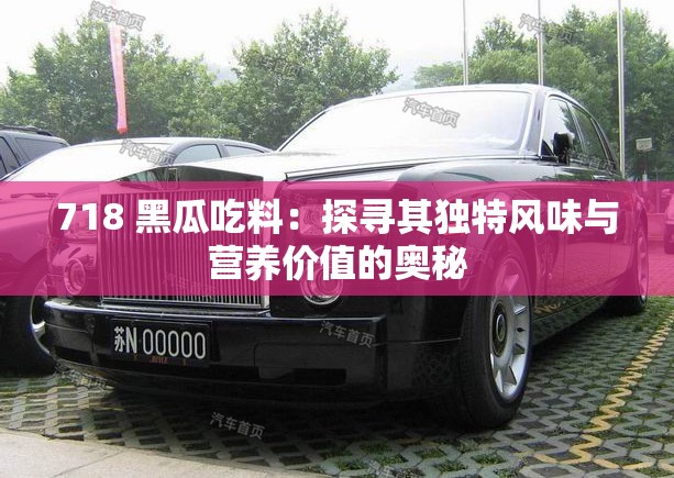 718 黑瓜吃料：探尋其獨特風(fēng)味與營養(yǎng)價值的奧秘
