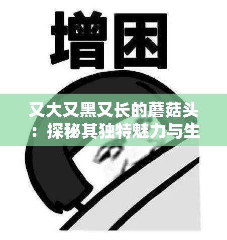 又大又黑又長的蘑菇頭：探秘其獨特魅力與生長之謎