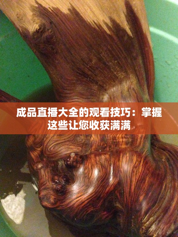 成品直播大全的觀看技巧：掌握這些讓您收獲滿滿