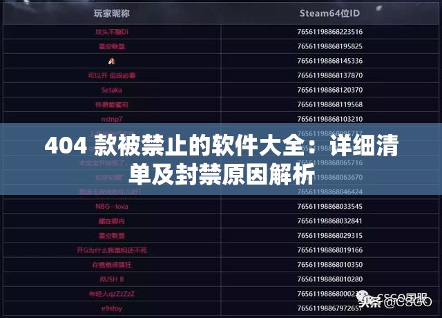 404 款被禁止的軟件大全：詳細清單及封禁原因解析