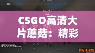 CSGO高清大片蘑菇：精彩游戲瞬間與視覺盛宴的融合