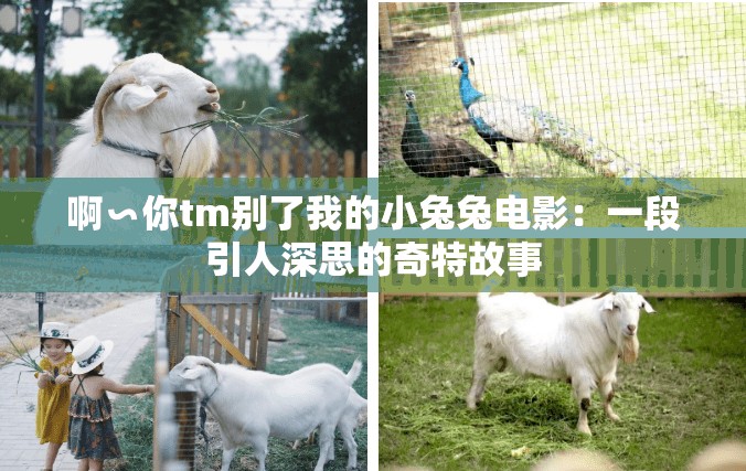 啊∽你tm別了我的小兔兔電影：一段引人深思的奇特故事
