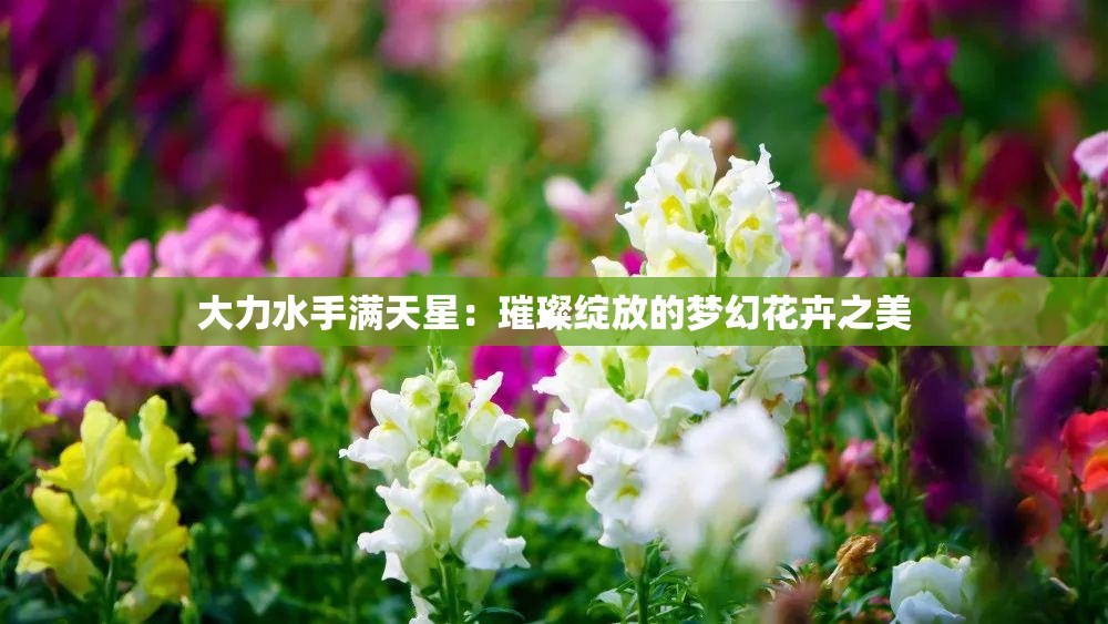 大力水手滿天星：璀璨綻放的夢(mèng)幻花卉之美