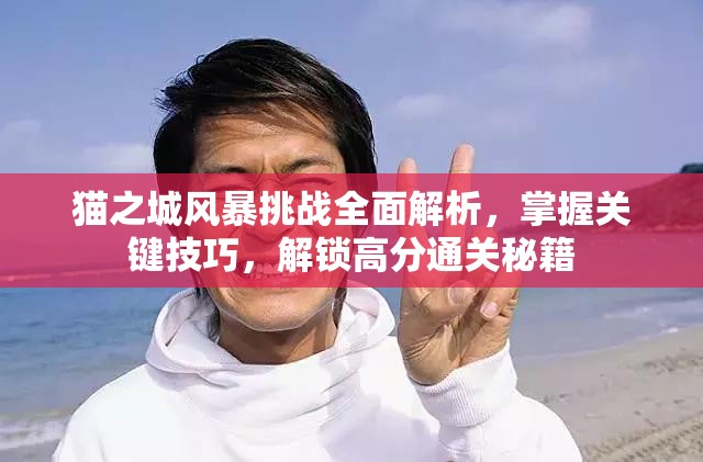 貓之城風(fēng)暴挑戰(zhàn)全面解析，掌握關(guān)鍵技巧，解鎖高分通關(guān)秘籍