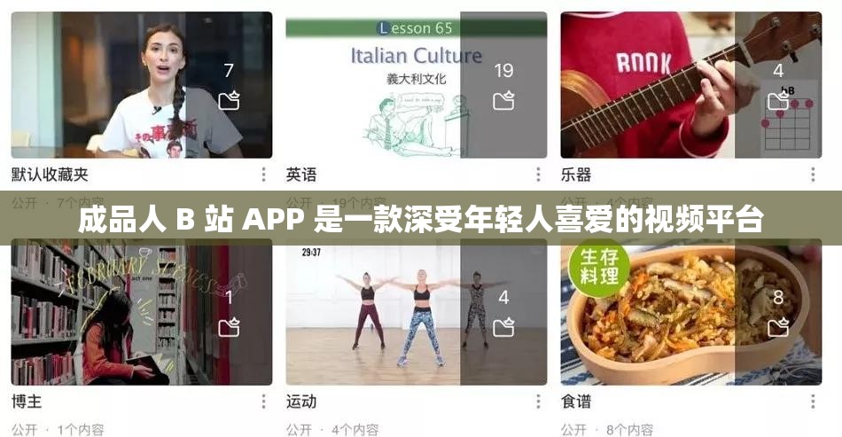 成品人 B 站 APP 是一款深受年輕人喜愛的視頻平臺