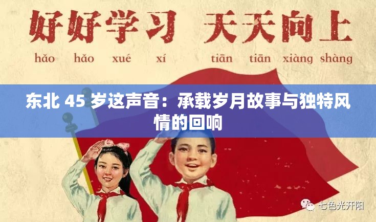 東北 45 歲這聲音：承載歲月故事與獨(dú)特風(fēng)情的回響