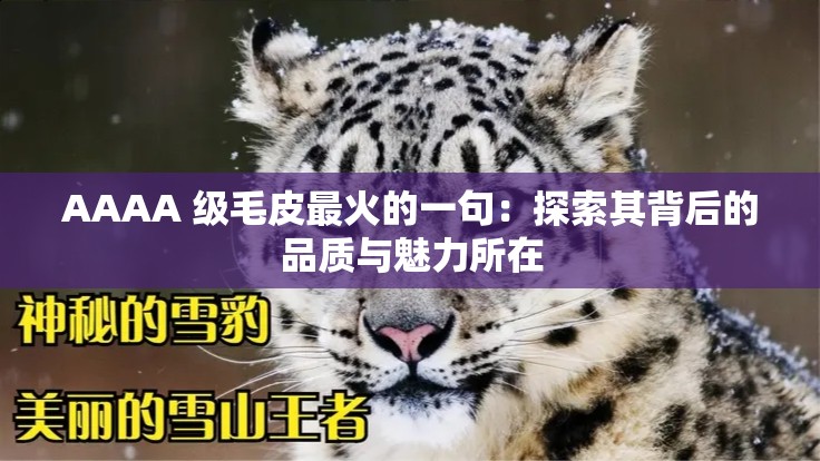 AAAA 級(jí)毛皮最火的一句：探索其背后的品質(zhì)與魅力所在