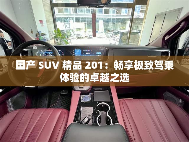 國產(chǎn) SUV 精品 201：暢享極致駕乘體驗的卓越之選