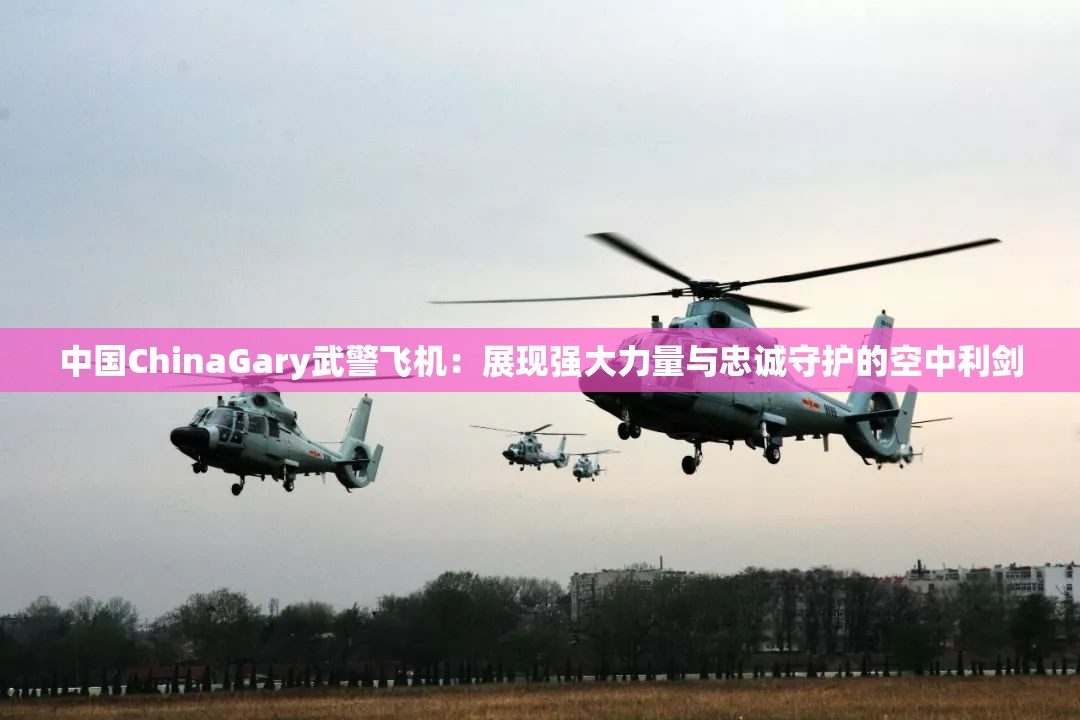 中國ChinaGary武警飛機(jī)：展現(xiàn)強(qiáng)大力量與忠誠守護(hù)的空中利劍