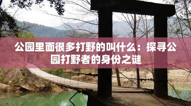 公園里面很多打野的叫什么：探尋公園打野者的身份之謎
