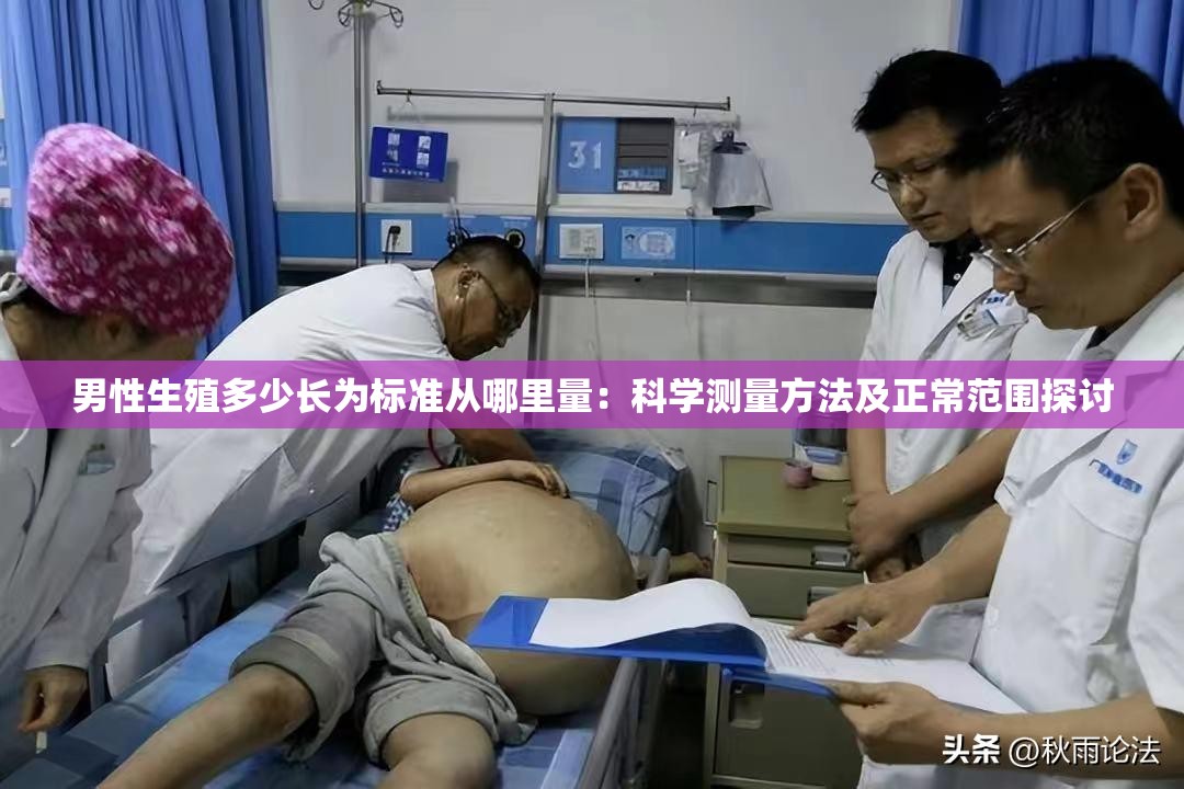 男性生殖多少長為標準從哪里量：科學測量方法及正常范圍探討