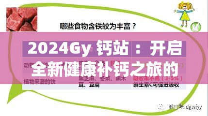 2024Gy 鈣站 ：開啟全新健康補(bǔ)鈣之旅的先鋒站點(diǎn)