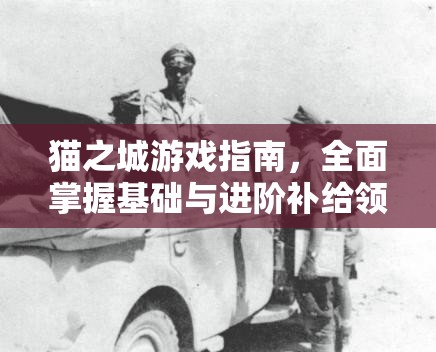 貓之城游戲指南，全面掌握基礎(chǔ)與進(jìn)階補(bǔ)給領(lǐng)取的詳細(xì)攻略