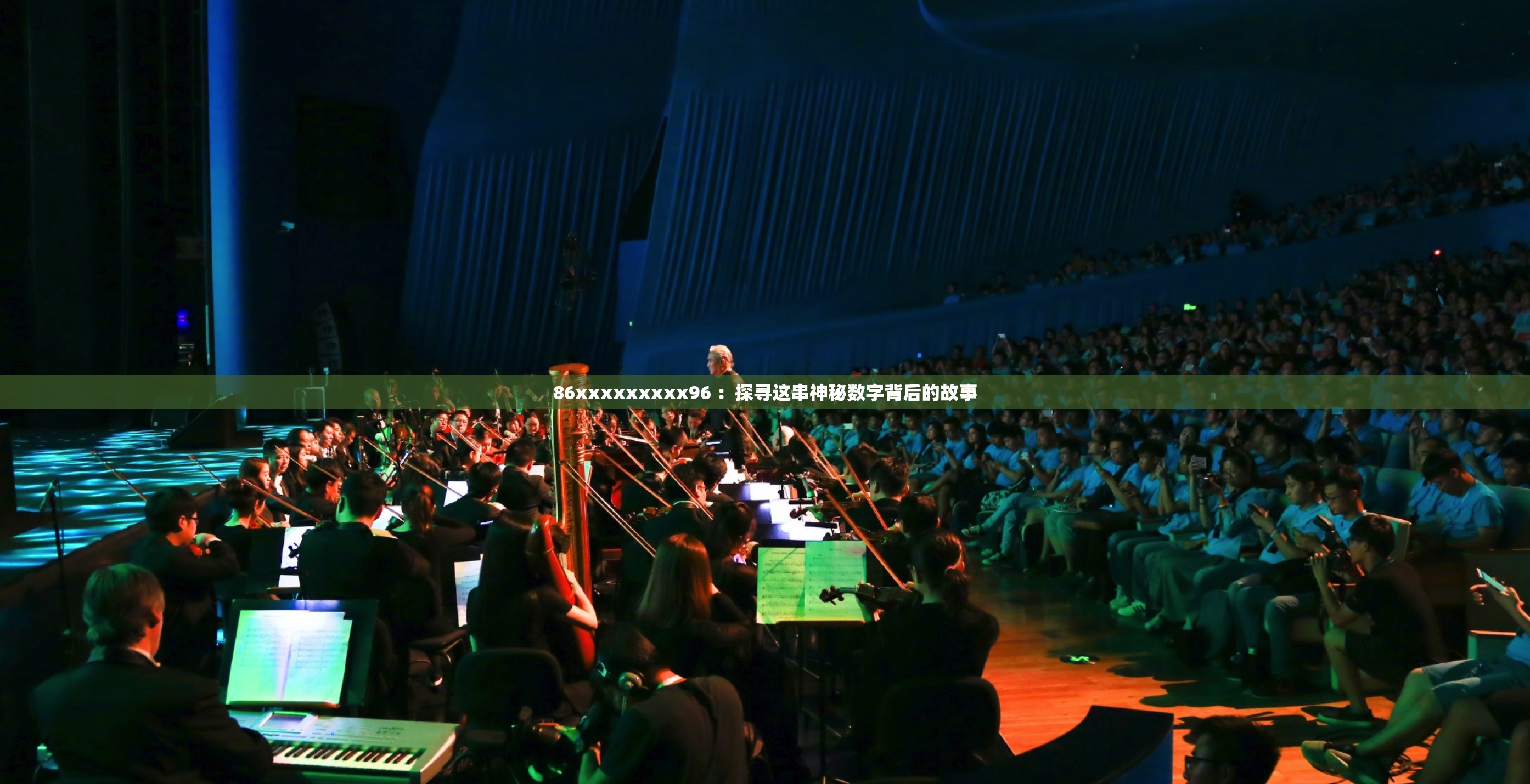 86xxxxxxxxx96 ：探尋這串神秘數(shù)字背后的故事