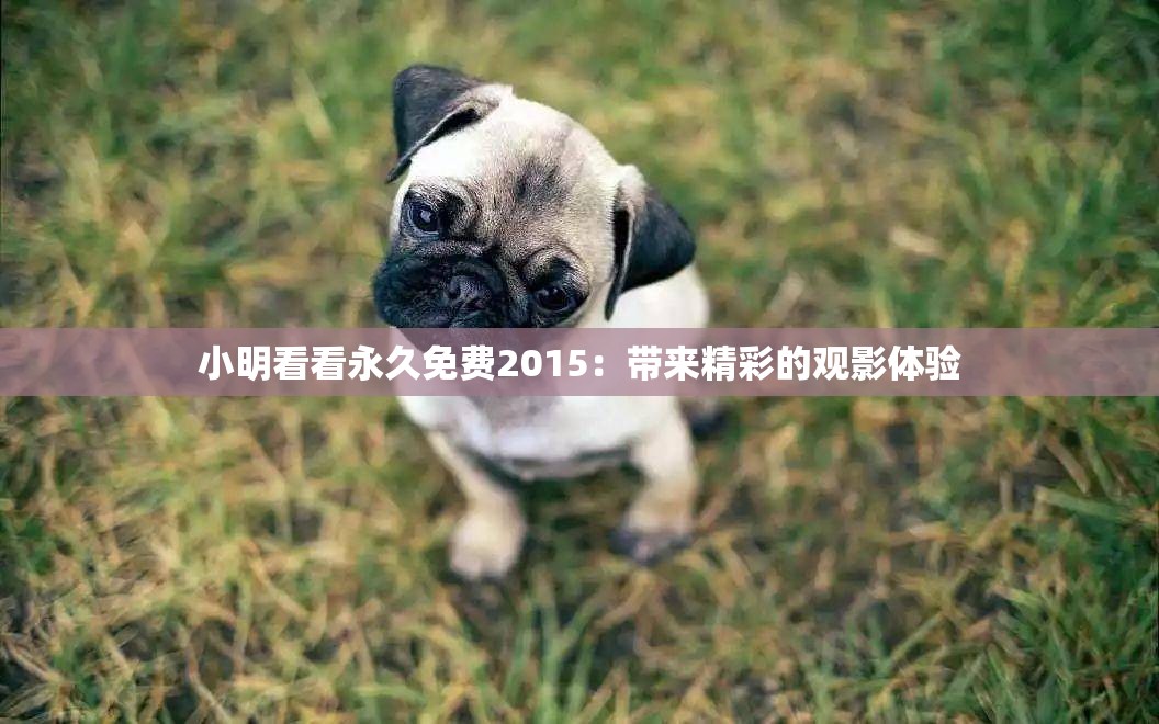 小明看看永久免費(fèi)2015：帶來(lái)精彩的觀影體驗(yàn)