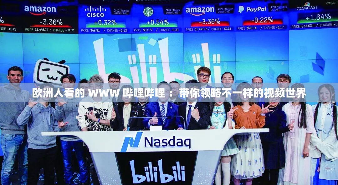 歐洲人看的 WWW 嗶哩嗶哩 ：帶你領(lǐng)略不一樣的視頻世界