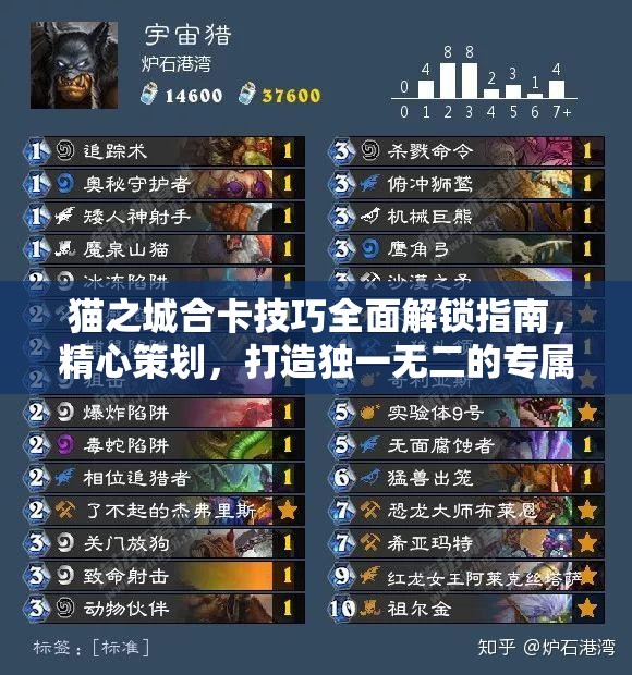 貓之城合卡技巧全面解鎖指南，精心策劃，打造獨一無二的專屬戰(zhàn)斗策略