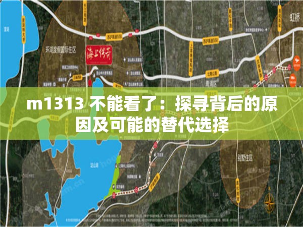 m1313 不能看了：探尋背后的原因及可能的替代選擇