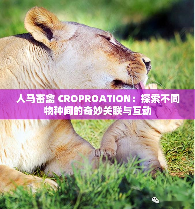 人馬畜禽 CROPROATION：探索不同物種間的奇妙關(guān)聯(lián)與互動(dòng)