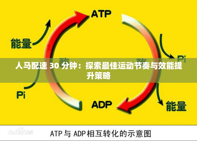人馬配速 30 分鐘：探索最佳運(yùn)動節(jié)奏與效能提升策略