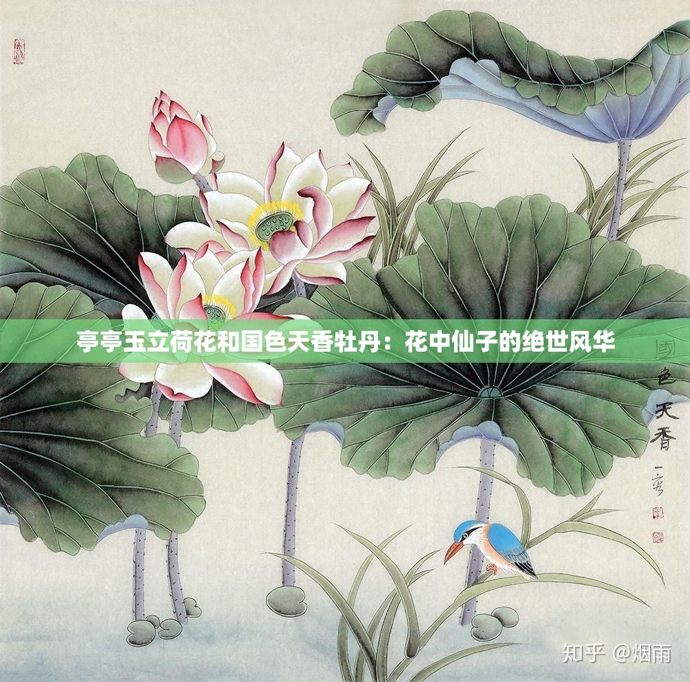 亭亭玉立荷花和國(guó)色天香牡丹：花中仙子的絕世風(fēng)華