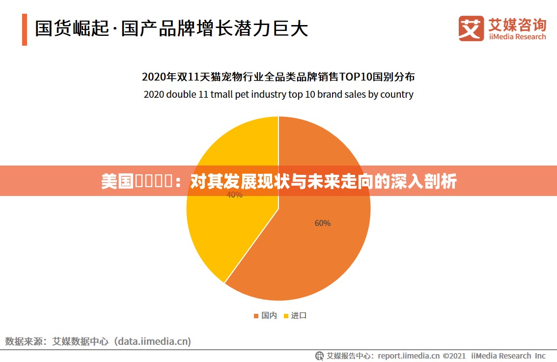 美國(guó)乄乄乄乄：對(duì)其發(fā)展現(xiàn)狀與未來走向的深入剖析