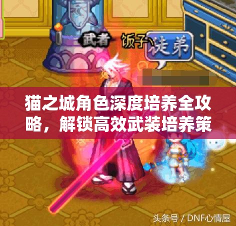 貓之城角色深度培養(yǎng)全攻略，解鎖高效武裝培養(yǎng)策略，邁向全新境界
