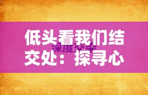 低頭看我們結(jié)交處：探尋心靈交匯的溫暖與深度