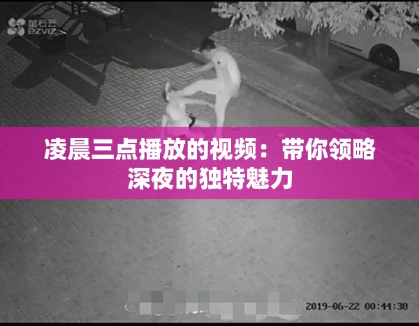 凌晨三點播放的視頻：帶你領(lǐng)略深夜的獨特魅力