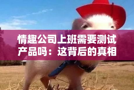 情趣公司上班需要測試產(chǎn)品嗎：這背后的真相與挑戰(zhàn)