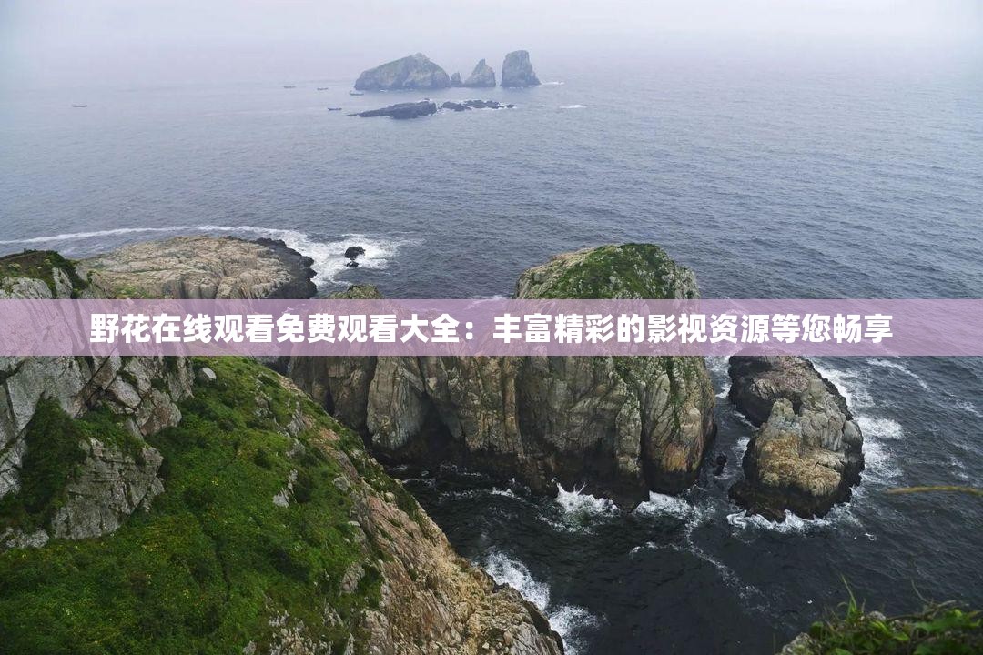 野花在線觀看免費觀看大全：豐富精彩的影視資源等您暢享