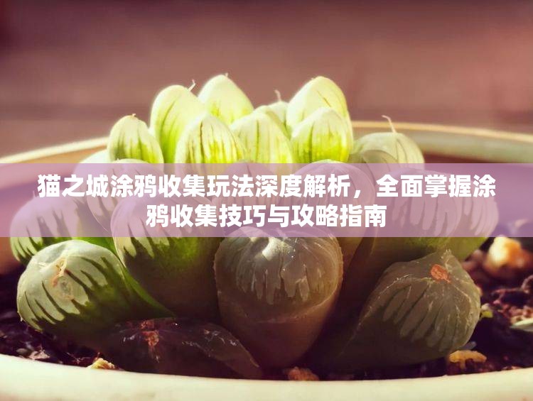 貓之城涂鴉收集玩法深度解析，全面掌握涂鴉收集技巧與攻略指南