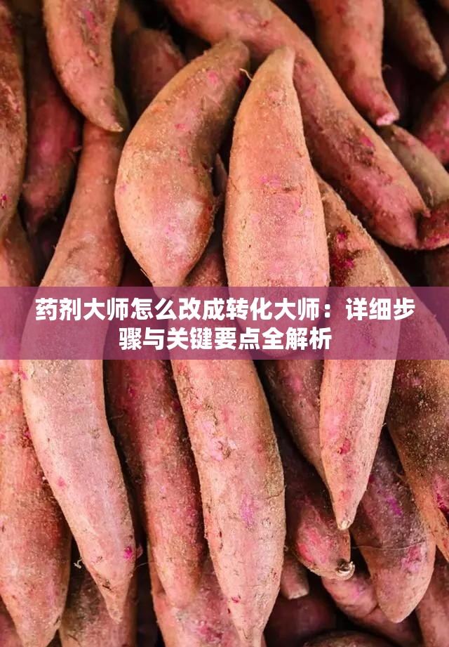 藥劑大師怎么改成轉(zhuǎn)化大師：詳細(xì)步驟與關(guān)鍵要點(diǎn)全解析