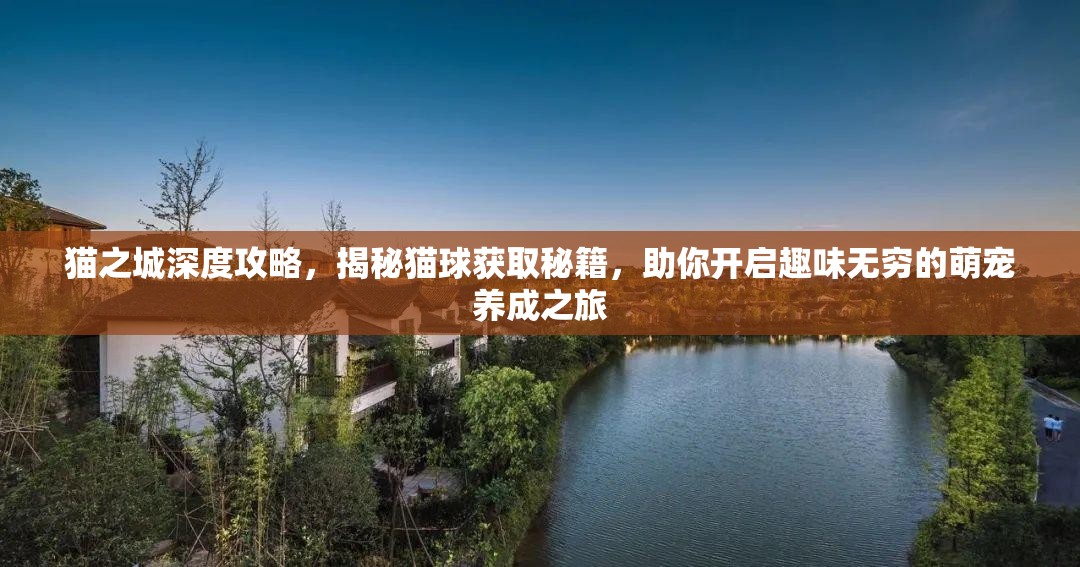 貓之城深度攻略，揭秘貓球獲取秘籍，助你開(kāi)啟趣味無(wú)窮的萌寵養(yǎng)成之旅
