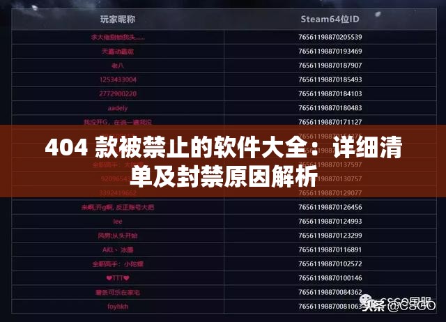 404 款被禁止的軟件大全：詳細清單及封禁原因解析