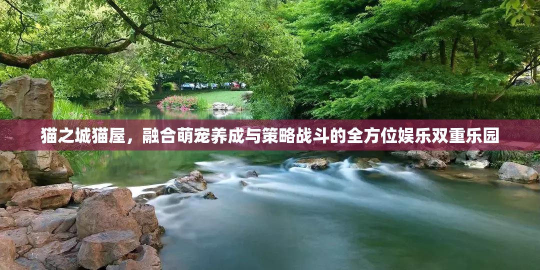 貓之城貓屋，融合萌寵養(yǎng)成與策略戰(zhàn)斗的全方位娛樂雙重樂園