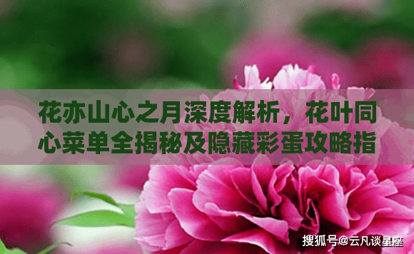 花亦山心之月深度解析，花葉同心菜單全揭秘及隱藏彩蛋攻略指南