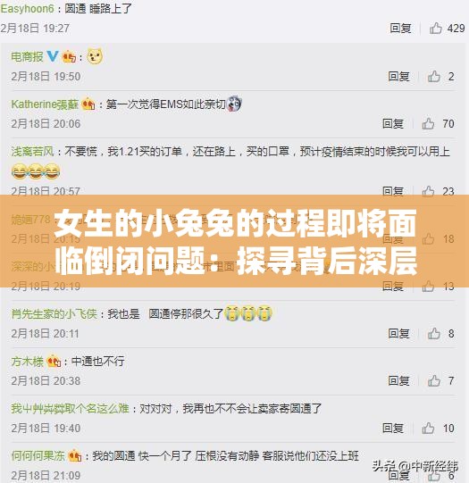 女生的小兔兔的過程即將面臨倒閉問題：探尋背后深層原因及解決途徑