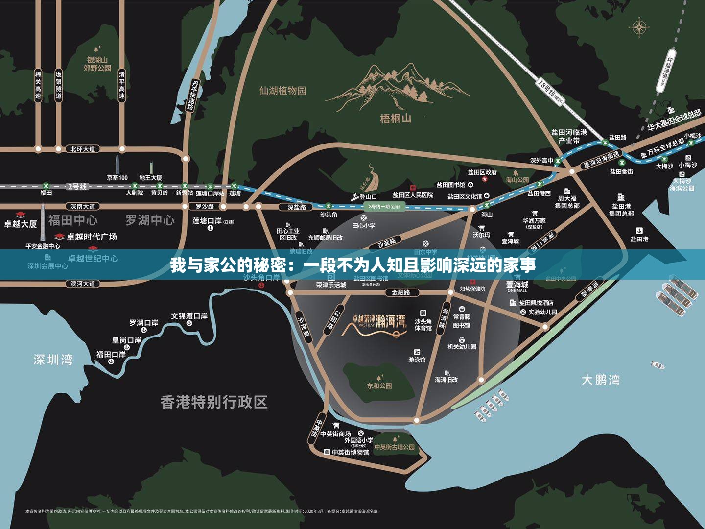 我與家公的秘密：一段不為人知且影響深遠的家事