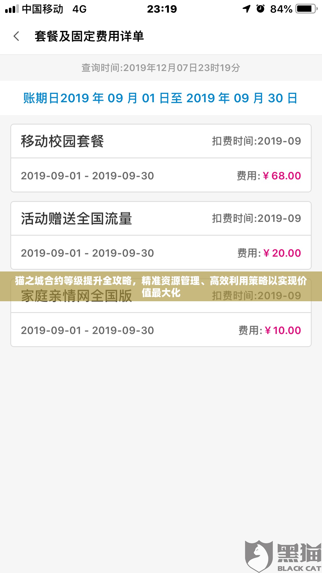 貓之城合約等級(jí)提升全攻略，精準(zhǔn)資源管理、高效利用策略以實(shí)現(xiàn)價(jià)值最大化