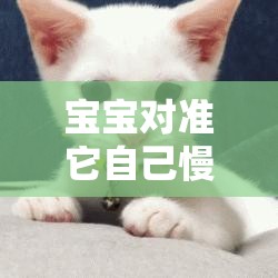 寶寶對準(zhǔn)它自己慢慢動：探索寶寶獨特行為背后的奧秘