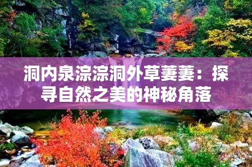 洞內(nèi)泉淙淙洞外草萋萋：探尋自然之美的神秘角落