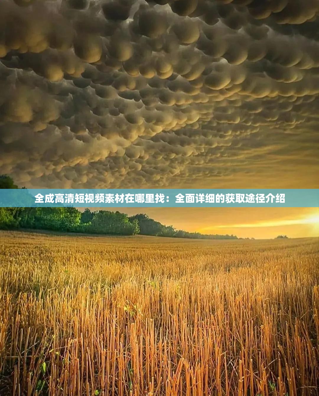 全成高清短視頻素材在哪里找：全面詳細(xì)的獲取途徑介紹