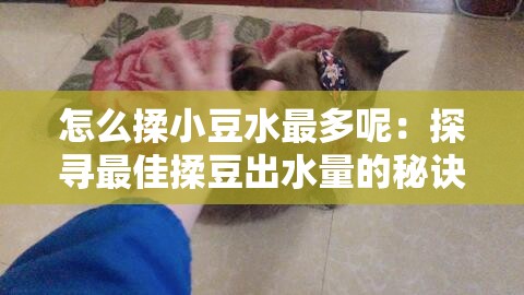 怎么揉小豆水最多呢：探尋最佳揉豆出水量的秘訣